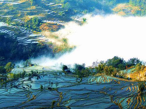 梦幻哈尼梯田(图:edwardhan) 梦幻哈尼梯田(图:edwardhan)