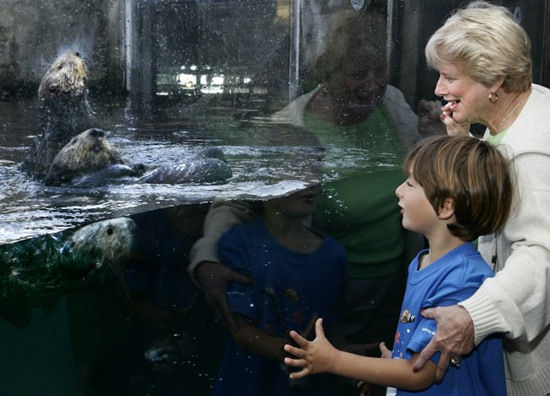 蒙特雷海湾水族馆(Monterey Bay Aquarium) 蒙特雷海湾水族馆(Monterey Bay Aquarium)