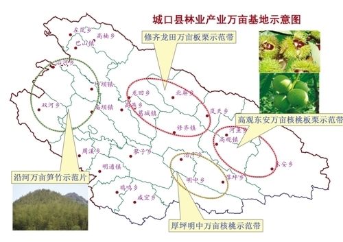 城口"四个转变"推进生态涵养发展