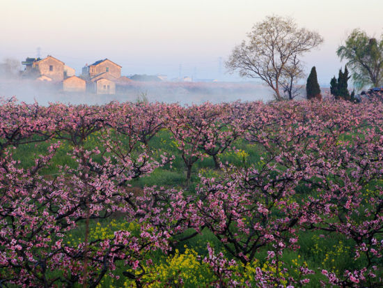 张家港旅游博客_张家港自由行博客
