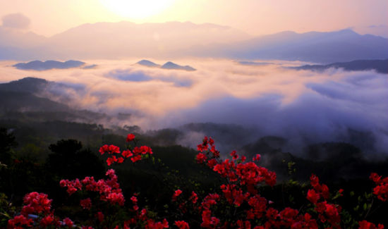 黄冈旅游博客_黄冈自由行博客