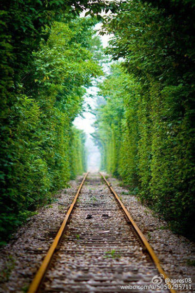 南京旅游博客_南京自由行博客