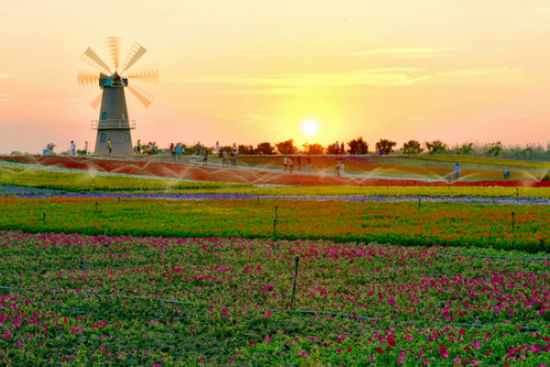 安徽旅游博客_安徽自由行博客