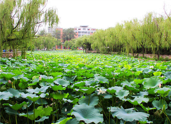 天津旅游博客_天津自由行博客