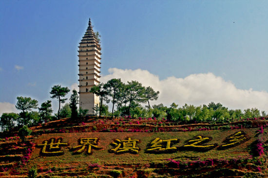 凤庆,古称顺宁,凤庆是滇红茶的诞生地,滇红工夫茶于1939年在云南凤庆