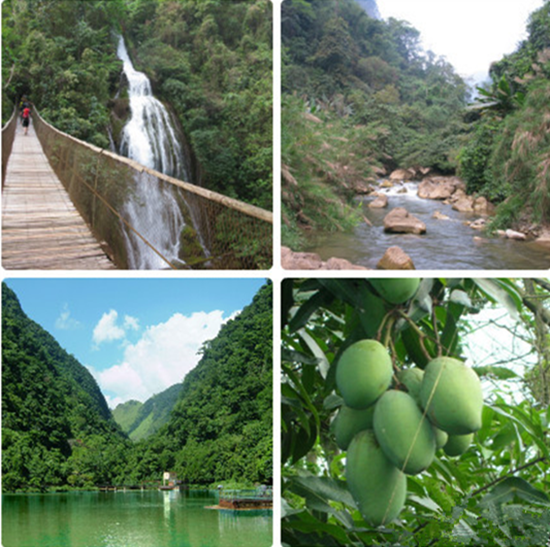蔓耗绿水河热带雨林(图片来源:@旅游红河) 蔓耗绿水河热带雨林(图片来源:@旅游红河)