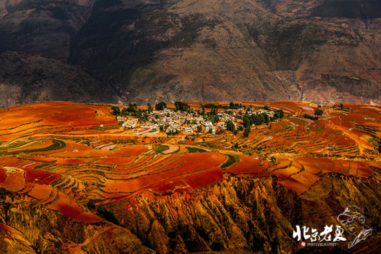 东川红土地(图/新浪博主 北京老夏) 东川红土地