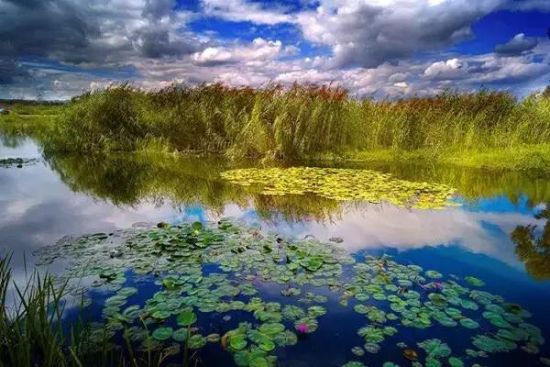 【我在云南过春节】昆明10大湿地公园全攻略