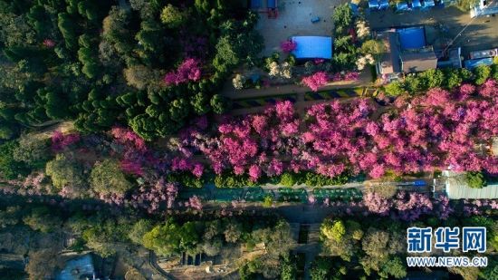 云南旅游博客_云南自由行博客