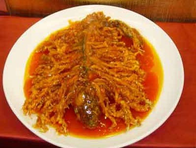 石家庄简介_石家庄美食_石家庄购物_石家庄交