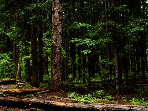 秦皇岛旅游团四川线路九寨沟景点介绍及游玩攻