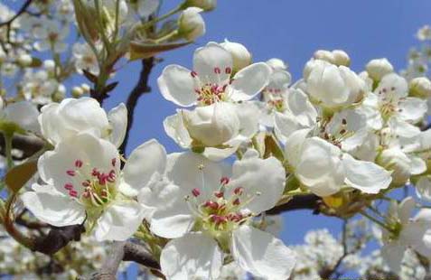 徐州旅游博客_徐州自由行博客