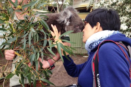 墨尔本旅游博客_墨尔本自由行博客