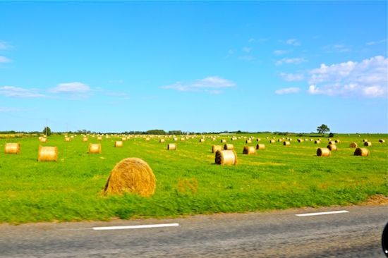 瑞典旅游博客_瑞典自由行博客