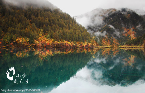 花海热门景点推荐_花海热门旅游景点介绍_花