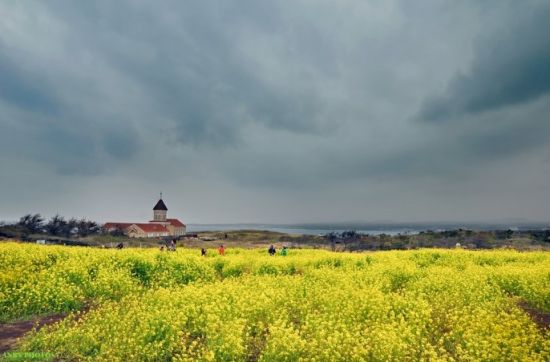 济州岛旅游博客_济州岛自由行博客