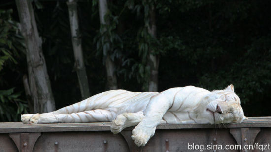 澳大利亚旅游攻略_澳大利亚游玩攻略_澳大利亚自助旅游攻略