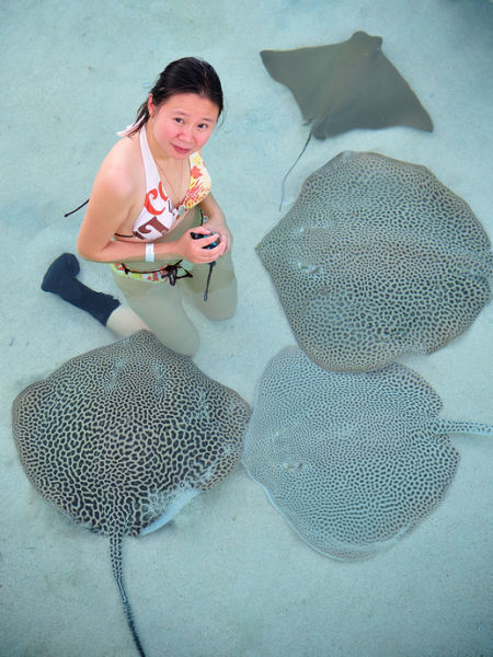 新加坡旅游博客_新加坡自由行博客