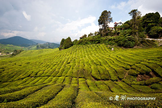 马来西亚旅游博客_马来西亚自由行博客