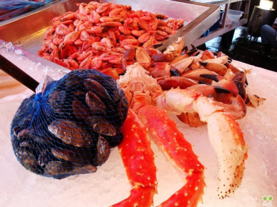 挪威旅游博客_挪威自由行博客