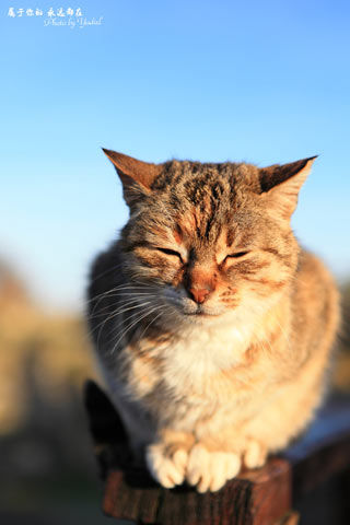 土耳其旅游博客_土耳其自由行博客