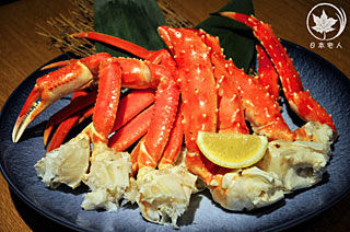 北海道旅游博客_北海道自由行博客