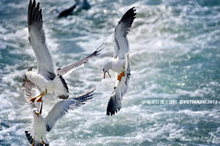 山东旅游博客_山东自由行博客