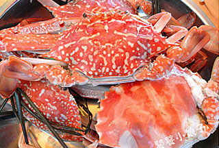 中国旅游博客_中国自由行博客