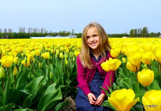 荷兰旅游博客_荷兰自由行博客