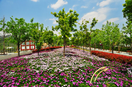 山东旅游博客_山东自由行博客