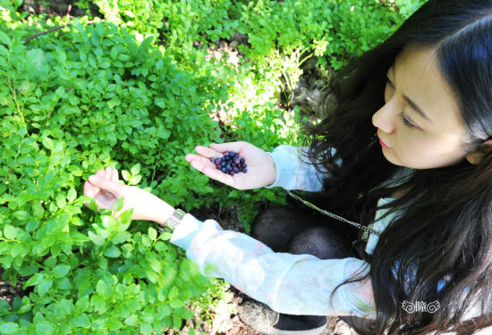 芬兰旅游博客_芬兰自由行博客