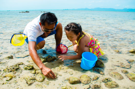 泰国旅游博客_泰国自由行博客