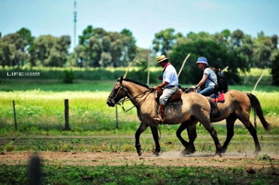 阿根廷旅游博客_阿根廷自由行博客