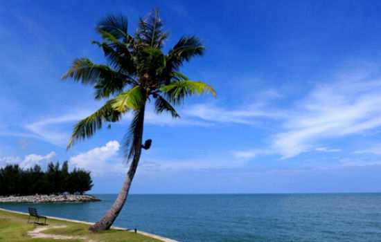 文莱旅游博客_文莱自由行博客