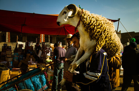 摩洛哥旅游博客_摩洛哥自由行博客