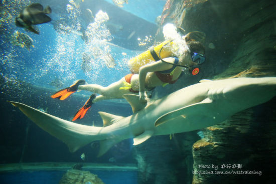 北海旅游博客_北海自由行博客