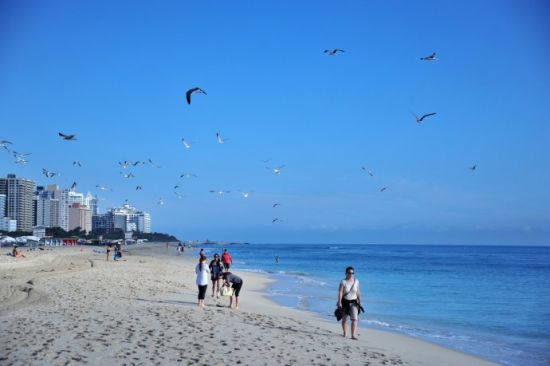 美国旅游博客_美国自由行博客