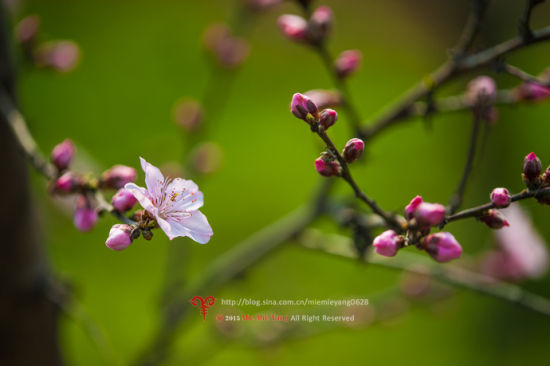 襄阳旅游博客_襄阳自由行博客