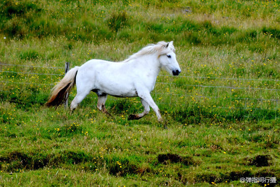 冰岛旅游博客_冰岛自由行博客