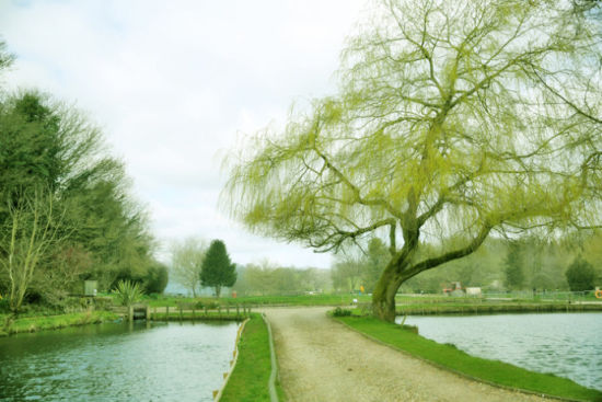 英国旅游博客_英国自由行博客