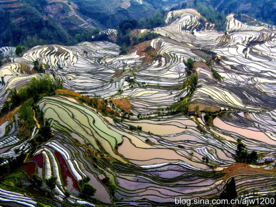 云南旅游博客_云南自由行博客