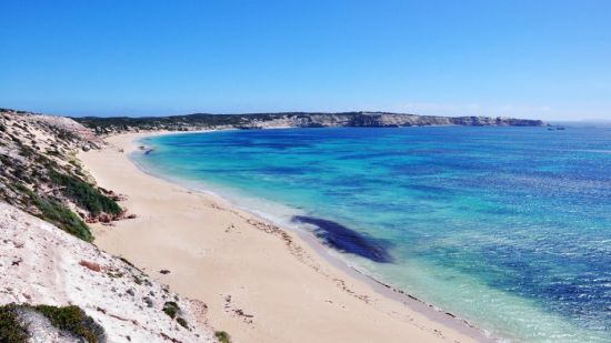 澳大利亚旅游博客_澳大利亚自由行博客