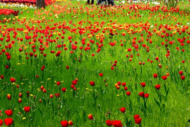 德国旅游博客_德国自由行博客