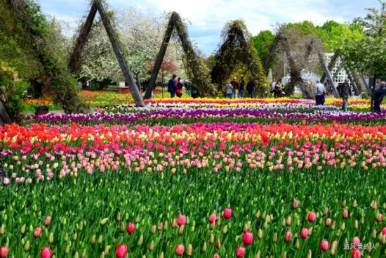 德国旅游博客_德国自由行博客