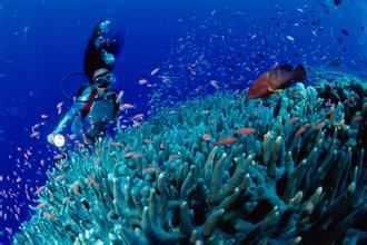 埃及旅游博客_埃及自由行博客