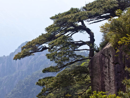 江西旅游博客_江西自由行博客