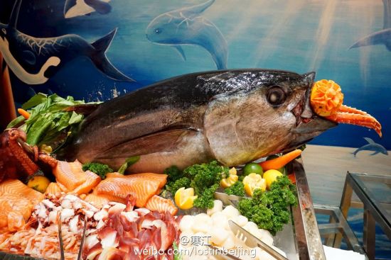 珠海旅游博客_珠海自由行博客