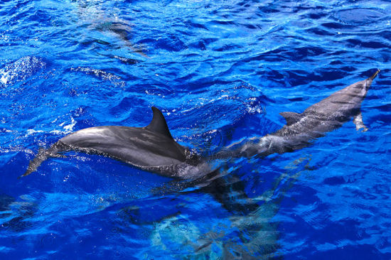 关岛旅游博客_关岛自由行博客