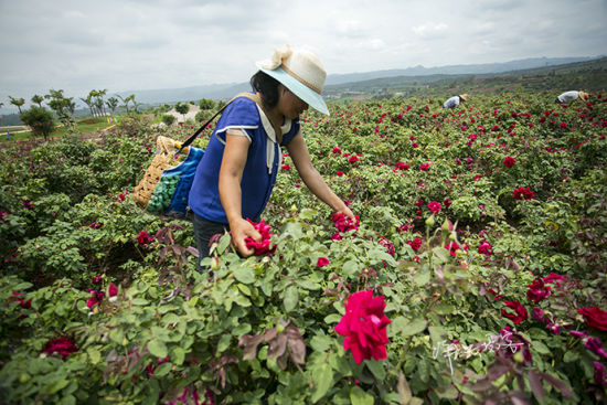 云南旅游博客_云南自由行博客