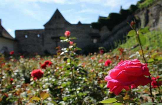 瑞士旅游博客_瑞士自由行博客